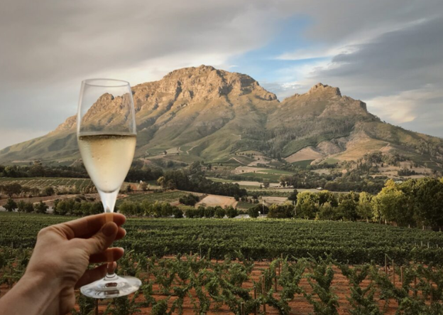 Wine Farms Stellenbosch Restaurants